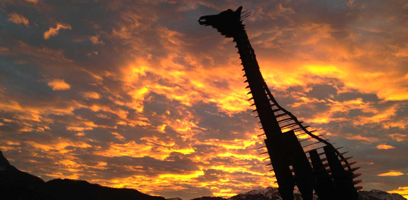 girafe_ciel_de_feu